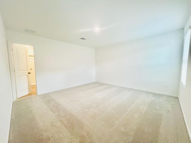 1376 Diamond Carnation Drive, Conroe, TX 77301