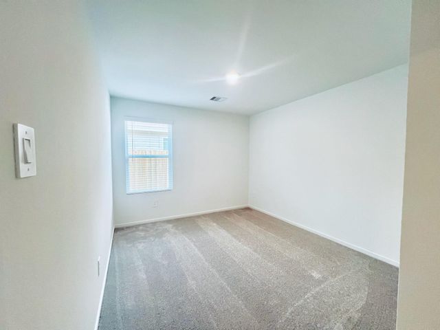1376 Diamond Carnation Drive, Conroe, TX 77301