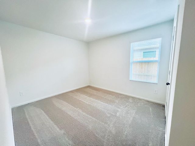 1376 Diamond Carnation Drive, Conroe, TX 77301