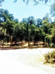 5947 Armijo, Clearlake, CA 95422