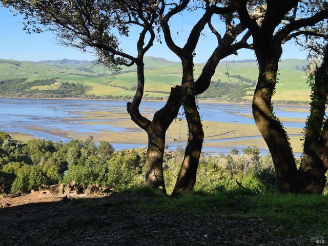 20 Redwood Ave, Inverness, CA 94937