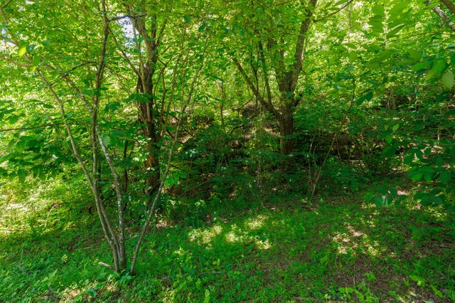 2022 Southport Rd, Culleoka, TN 38451