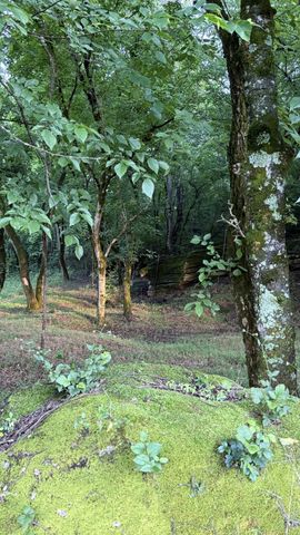2022 Southport Rd, Culleoka, TN 38451