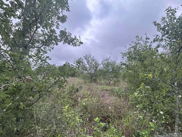 16875 Fm 1937, San Antonio, TX 78221