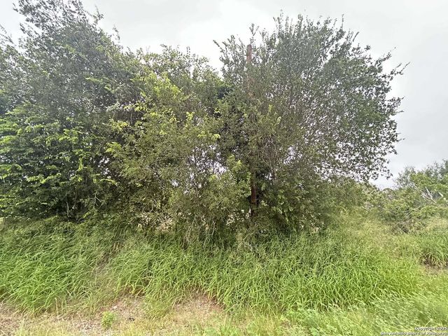 16875 Fm 1937, San Antonio, TX 78221