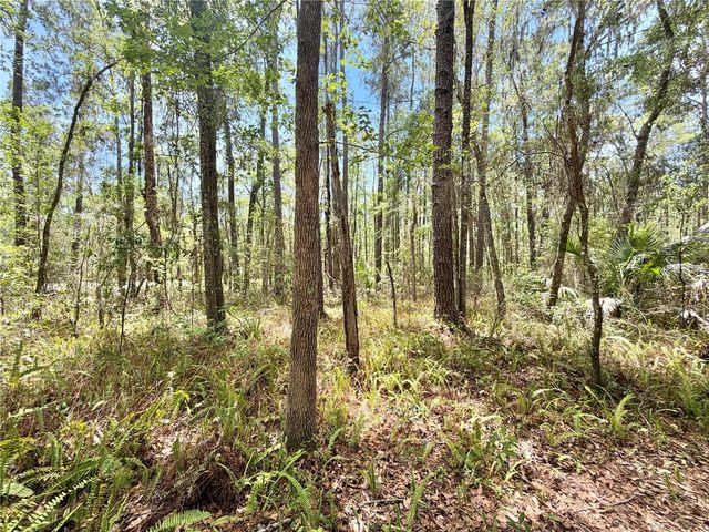 5229 SW 86TH TERRACE, Gainesville, FL 32608