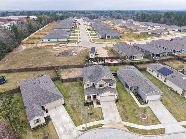 41707 Tumbleweed Pass Lane, Magnolia, TX 77354