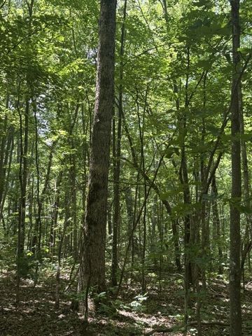 0 East Fork Ln, Crawford, TN 38554