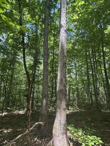 0 East Fork Ln, Crawford, TN 38554