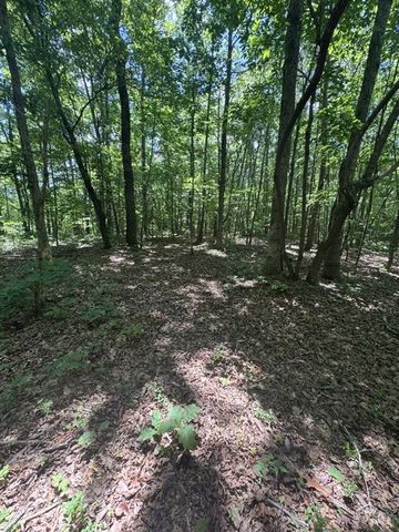 0 East Fork Ln, Crawford, TN 38554
