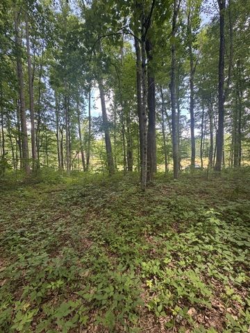 0 East Fork Ln, Crawford, TN 38554