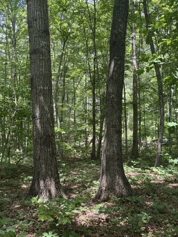 0 East Fork Ln, Crawford, TN 38554