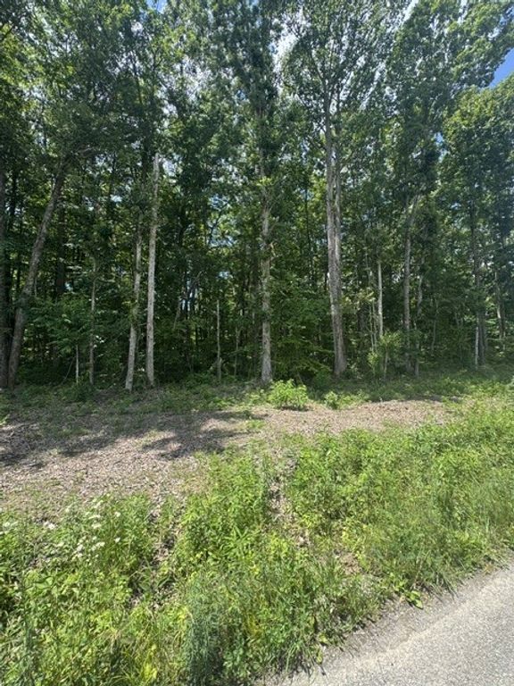 0 East Fork Ln, Crawford, TN 38554