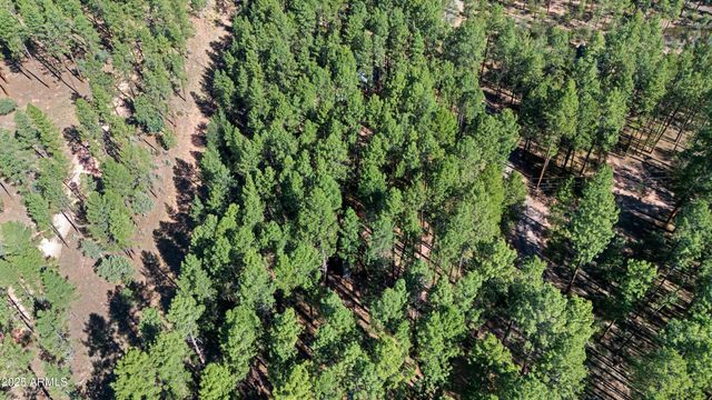 370 N COYOTE Trail, Payson, AZ 85541