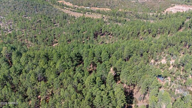 370 N COYOTE Trail, Payson, AZ 85541
