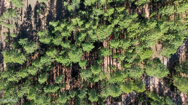 370 N COYOTE Trail, Payson, AZ 85541