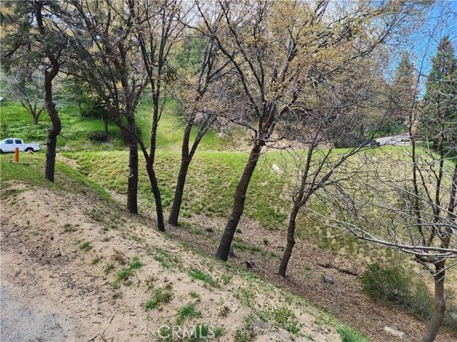 327 Davos Drive, Crestline, CA 92325