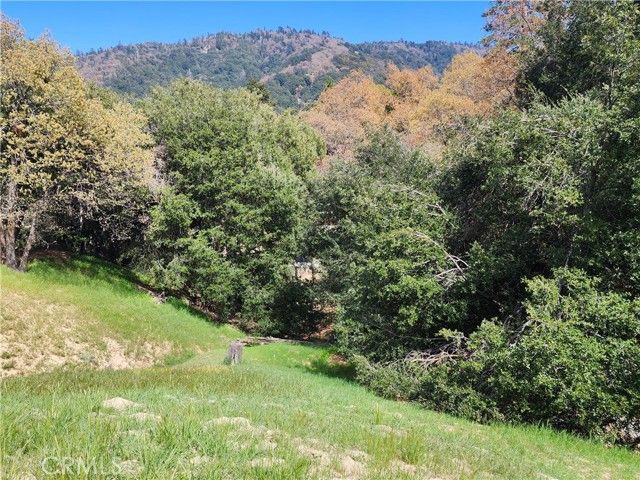 327 Davos Drive, Crestline, CA 92325