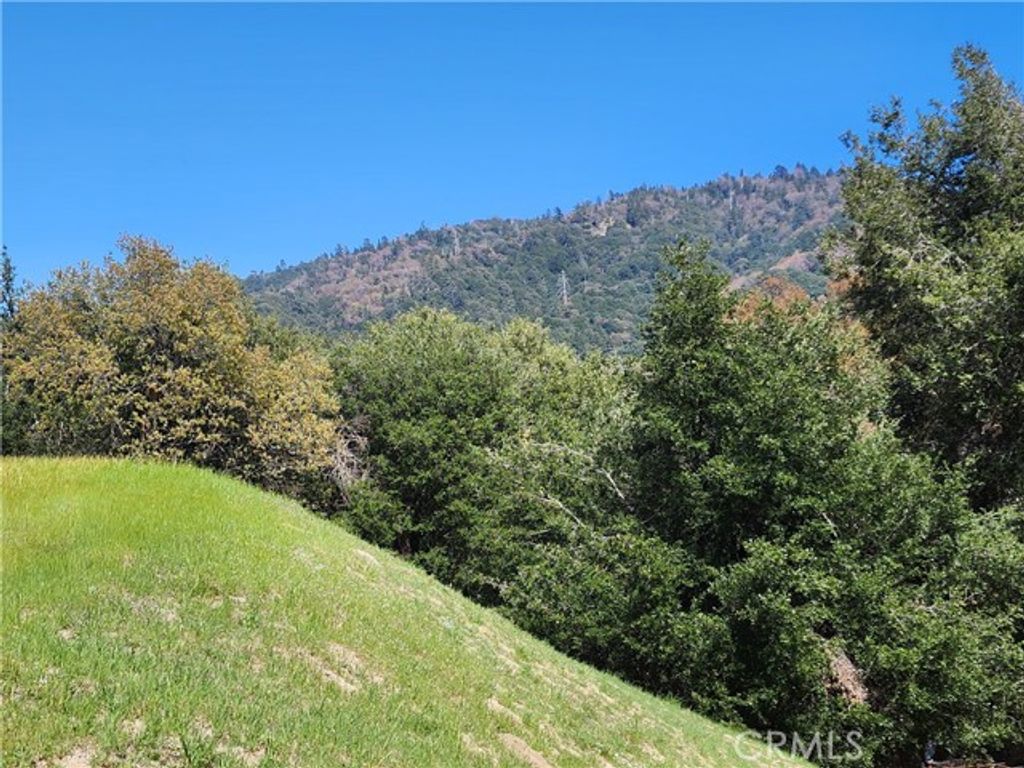 327 Davos Drive, Crestline, CA 92325