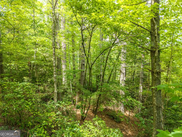 LOT 630 Nahunta Court, Ellijay, GA 30540
