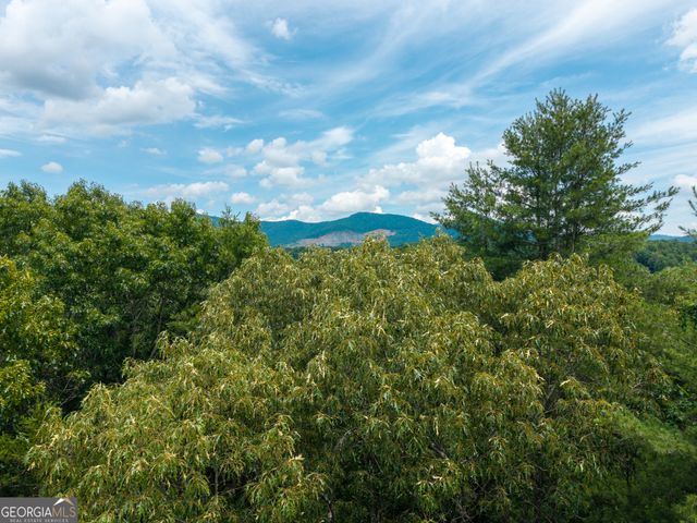 LOT 630 Nahunta Court, Ellijay, GA 30540