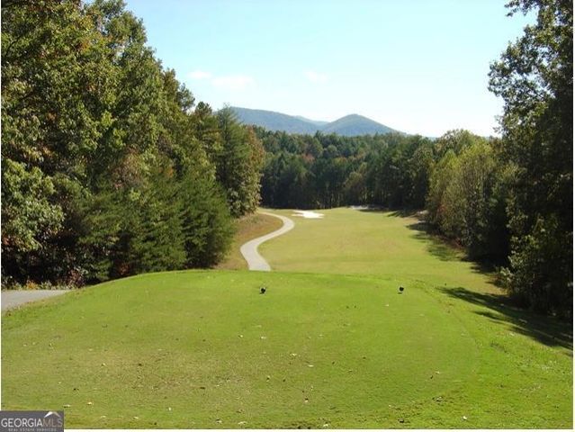LOT 630 Nahunta Court, Ellijay, GA 30540