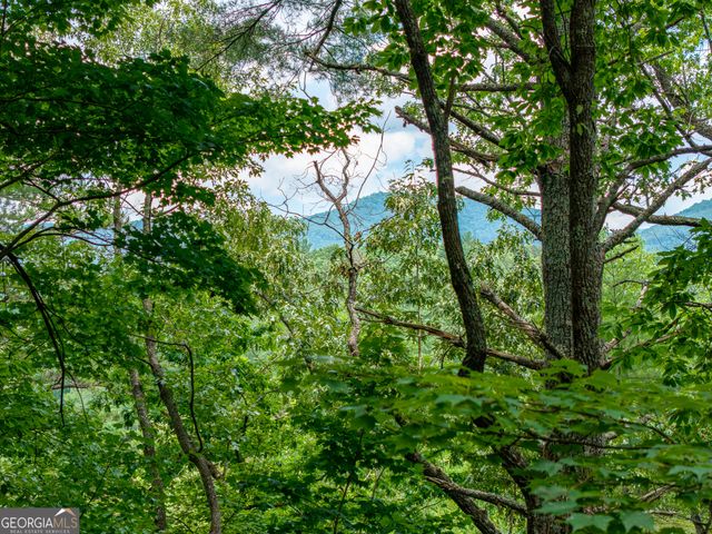 LOT 630 Nahunta Court, Ellijay, GA 30540