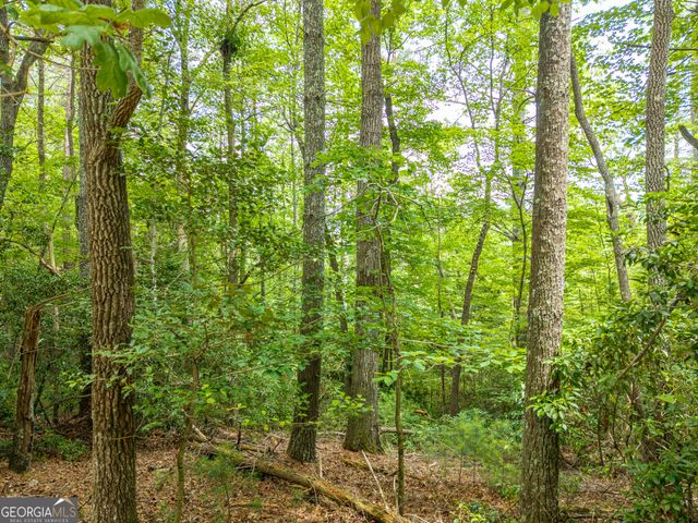 LOT 630 Nahunta Court, Ellijay, GA 30540