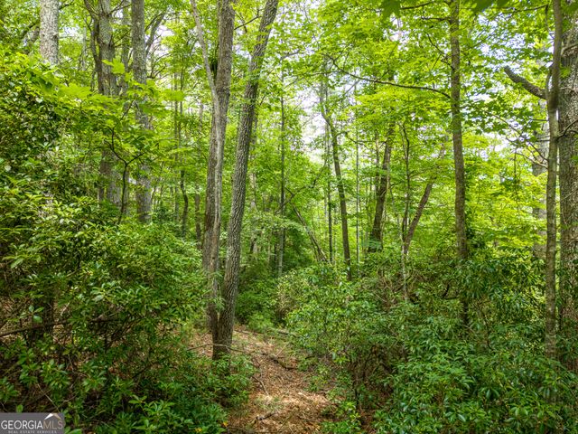 LOT 630 Nahunta Court, Ellijay, GA 30540