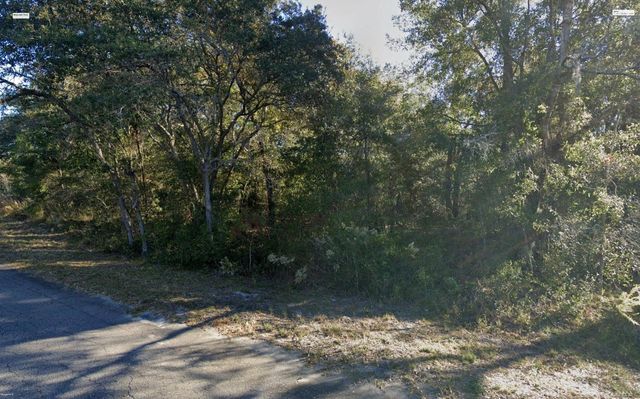FISHER LANE PLACE, Ocklawaha, FL 32179