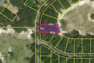 FISHER LANE PLACE, Ocklawaha, FL 32179