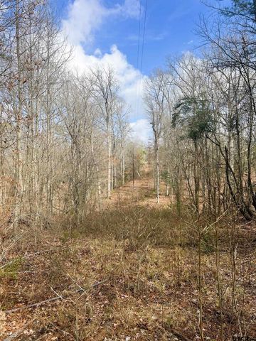 000 Private Road 8000, Winnsboro, TX 75494