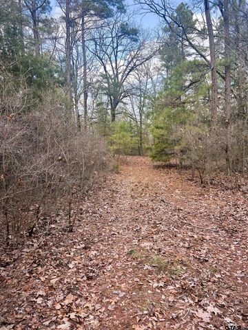 000 Private Road 8000, Winnsboro, TX 75494