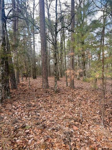 000 Private Road 8000, Winnsboro, TX 75494