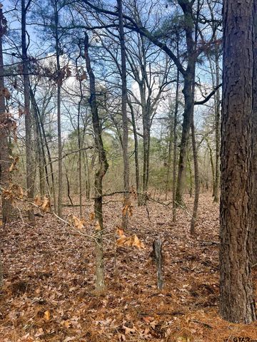 000 Private Road 8000, Winnsboro, TX 75494