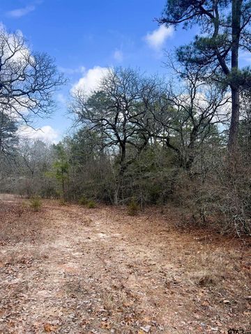 000 Private Road 8000, Winnsboro, TX 75494