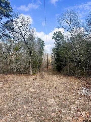 000 Private Road 8000, Winnsboro, TX 75494