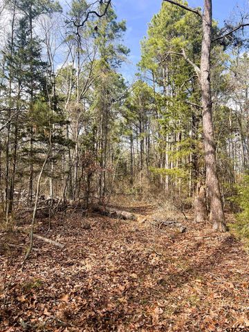 000 Private Road 8000, Winnsboro, TX 75494