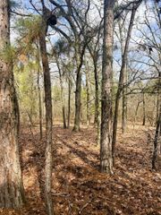 000 Private Road 8000, Winnsboro, TX 75494