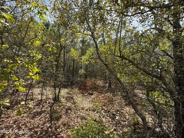 3031 Old Berwick Street SW, Shallotte, NC 28470
