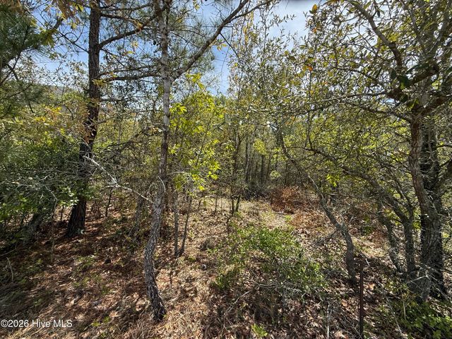 3031 Old Berwick Street SW, Shallotte, NC 28470