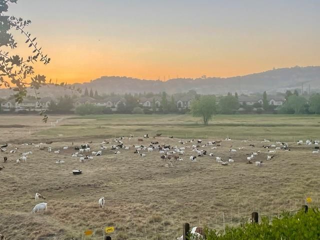 1420 Folsom Meadows Cir, Folsom, CA 95630