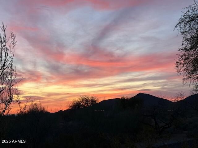 41509 N 106th Street, Scottsdale, AZ 85262