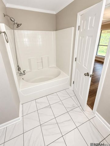 23885 Partridge Ln, Denham Springs, LA 70726