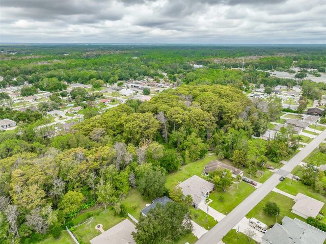 59 ZEBULAHS TRAIL, Palm Coast, FL 32164