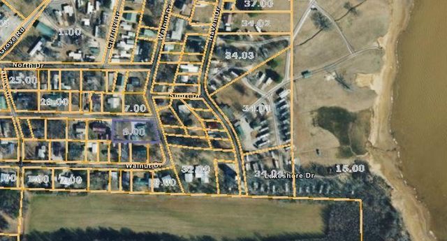 180 Center Dr, Springville, TN 38256