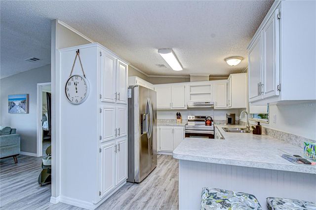 3118 SHADY CREEK DRIVE, Wesley Chapel, FL 33543