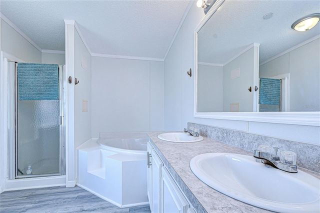 3118 SHADY CREEK DRIVE, Wesley Chapel, FL 33543