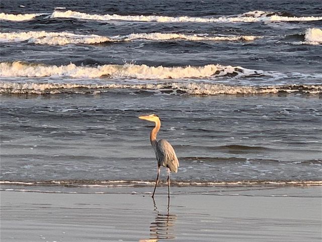 13227 Jolly Roger Drive, Freeport, TX 77541