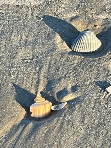 13227 Jolly Roger Drive, Freeport, TX 77541